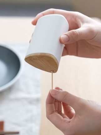 Organizador Minimalista Nórdico De Palitos De Dentes Criativo Dente Com Tampa De Bambu