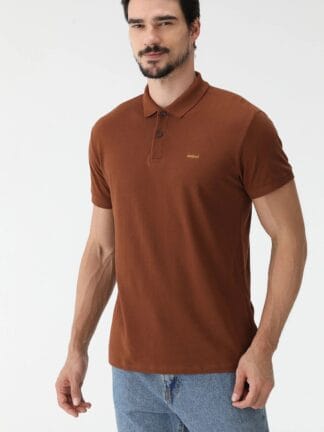 Camisa Polo Colcci Reta Marrom