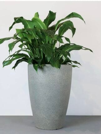 Vaso Malta Cone 38 x 55 cm Vasart